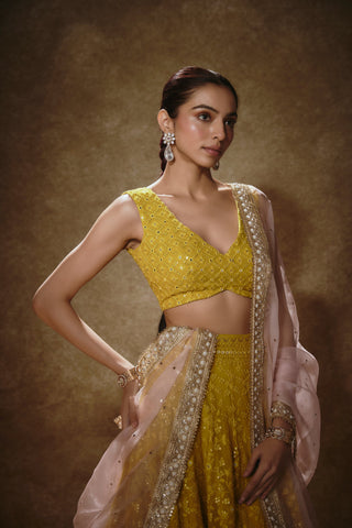 Citrine yellow lehenga set