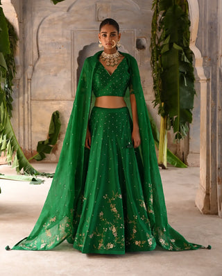 Dark green hand embroidered lehenga set