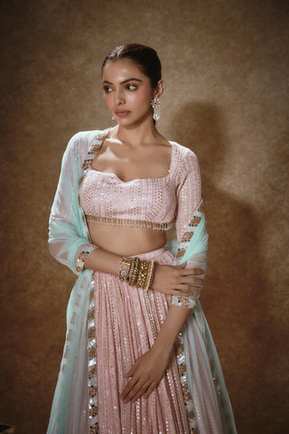 Blush pink lehenga set