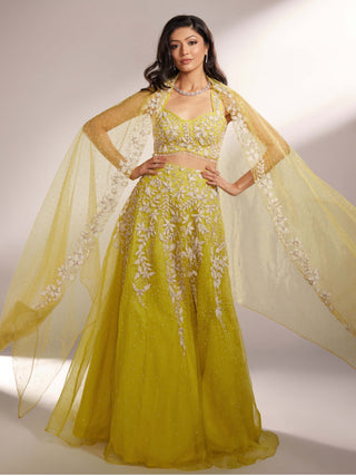 Iris lime yellow lehenga set