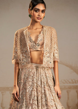 Beige jhumka safarnama lehenga set