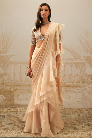 Beige sneh safarnama saree set