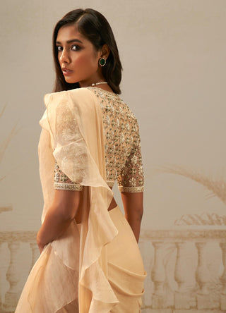 Beige sneh safarnama saree set