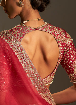 Red rani safarnama lehenga set