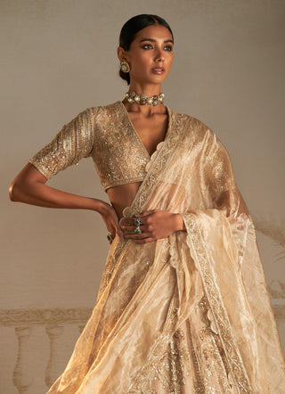 Gold swarn safarnama lehenga set