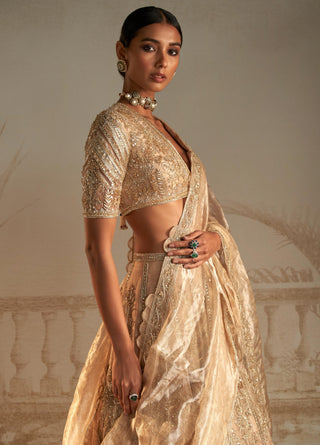 Gold swarn safarnama lehenga set