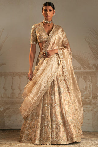 Gold swarn safarnama lehenga set