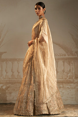 Gold swarn safarnama lehenga set