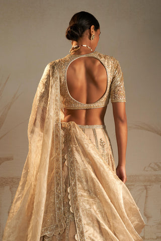 Gold swarn safarnama lehenga set