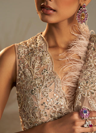 Beige pakeeza safarnama saree set