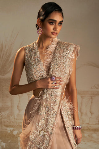 Beige pakeeza safarnama saree set