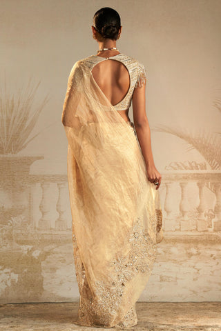 Gold ratan safarnama saree set