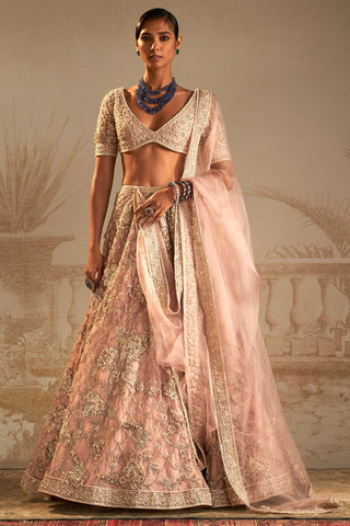 Pink doli safarnama lehenga set