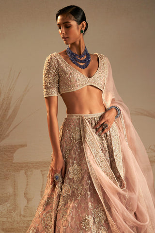 Pink doli safarnama lehenga set