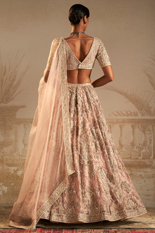 Pink doli safarnama lehenga set