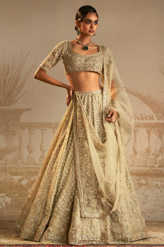 Green chandni safarnama lehenga set