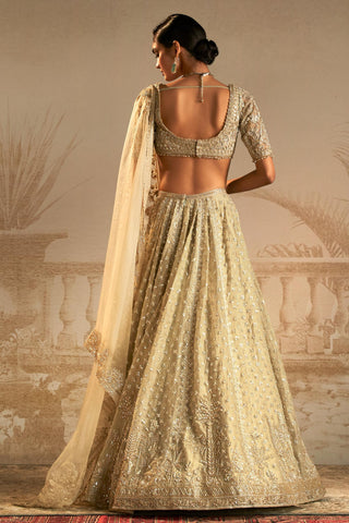 Green chandni safarnama lehenga set