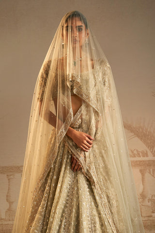 Green chandni safarnama lehenga set