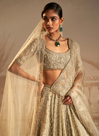 Green chandni safarnama lehenga set
