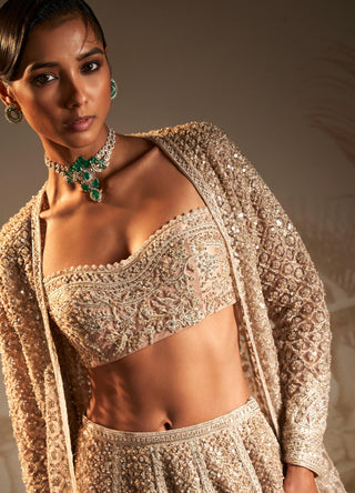 Beige gallaan safarnama lehenga set