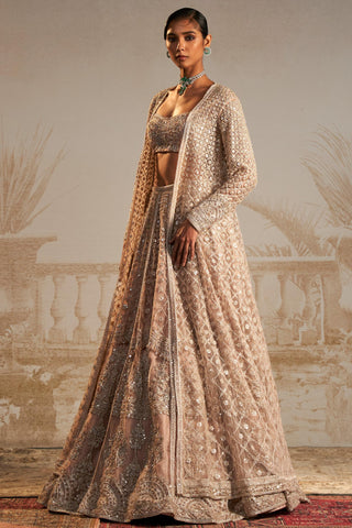 Beige gallaan safarnama lehenga set