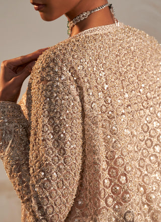 Beige gallaan safarnama lehenga set