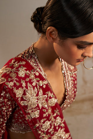 Red sagan safarnama saree skirt set