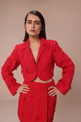 Red floral embroidered cropped co-ord set