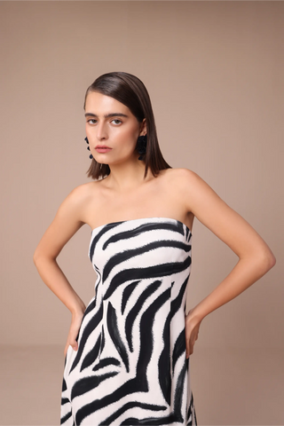 Zebra stripe strapless dress