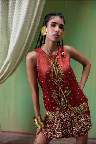 Dress Evening Wear - Red Shararat Dress by Payal & Zinal