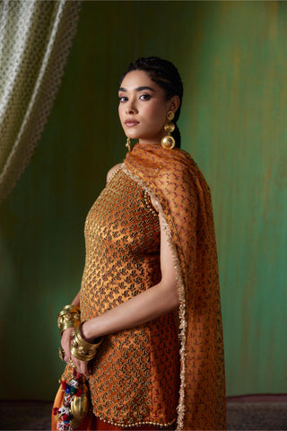 Kurta Set Regal Wear - Orange Shabana Kurta Set by Payal & Zinal