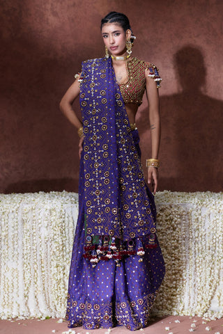 Saree Set Festive Wear - Purple Yasmin Saree Set by Payal & Zinal