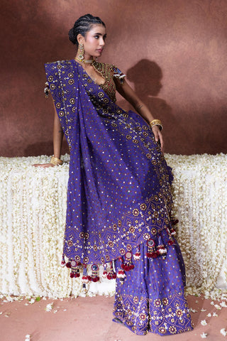 Saree Set Festive Wear - Purple Yasmin Saree Set by Payal & Zinal