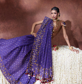 Saree Set Festive Wear - Purple Yasmin Saree Set by Payal & Zinal