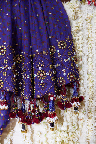 Saree Set Festive Wear - Purple Yasmin Saree Set by Payal & Zinal