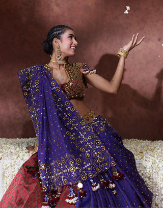 Lehenga Set Festive Wear - Multicolor Mala Lehenga Set by Payal & Zinal