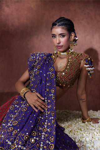 Lehenga Set Festive Wear - Multicolor Mala Lehenga Set by Payal & Zinal