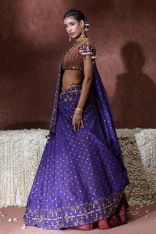 Lehenga Set Festive Wear - Multicolor Mala Lehenga Set by Payal & Zinal