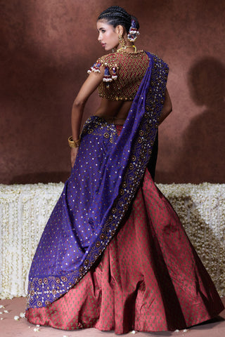 Lehenga Set Festive Wear - Multicolor Mala Lehenga Set by Payal & Zinal