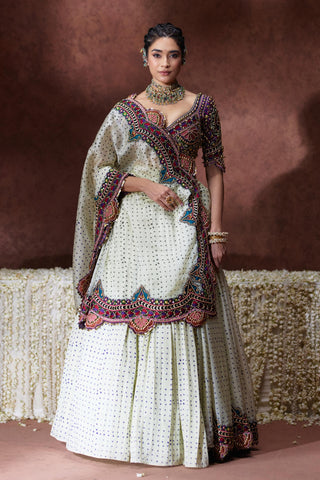 Saree Set Glamour Wear - Ivory Indrani Saree Set by Payal & Zinal