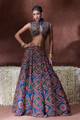 Lehenga Set Bridal Wear - Multicolor Khwaab Lehenga Set by Payal & Zinal