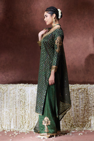 Kurta Set Festive Wear - Green Reet Kurta Set by Payal & Zinal