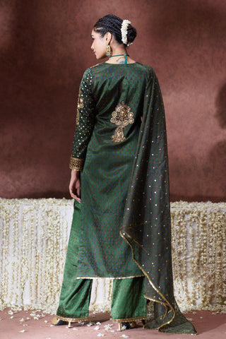 Kurta Set Festive Wear - Green Reet Kurta Set by Payal & Zinal