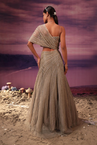 Gray and gold embroidered gown with bustier