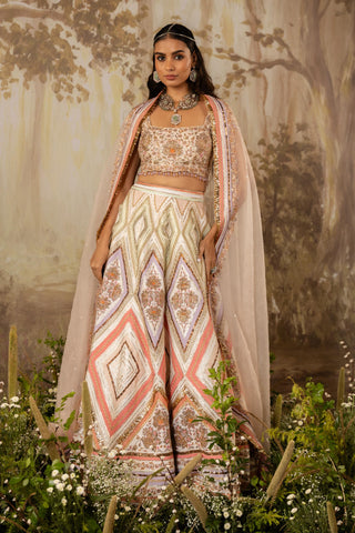 Multicolor Lehenga Indian Wedding Embroidered by Aashima Behl