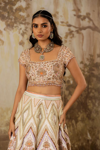 Multicolor Lehenga Indian Wedding Embroidered by Aashima Behl