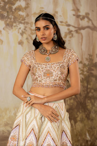 Multicolor Lehenga Indian Wedding Embroidered by Aashima Behl