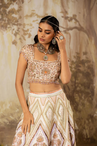 Multicolor Lehenga Indian Wedding Embroidered by Aashima Behl