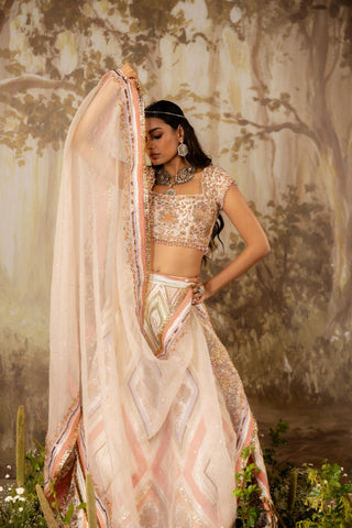 Multicolor Lehenga Indian Wedding Embroidered by Aashima Behl