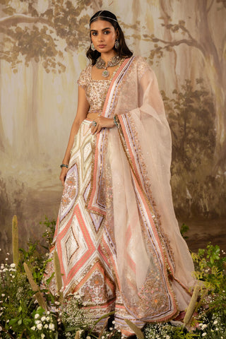 Multicolor Lehenga Indian Wedding Embroidered by Aashima Behl
